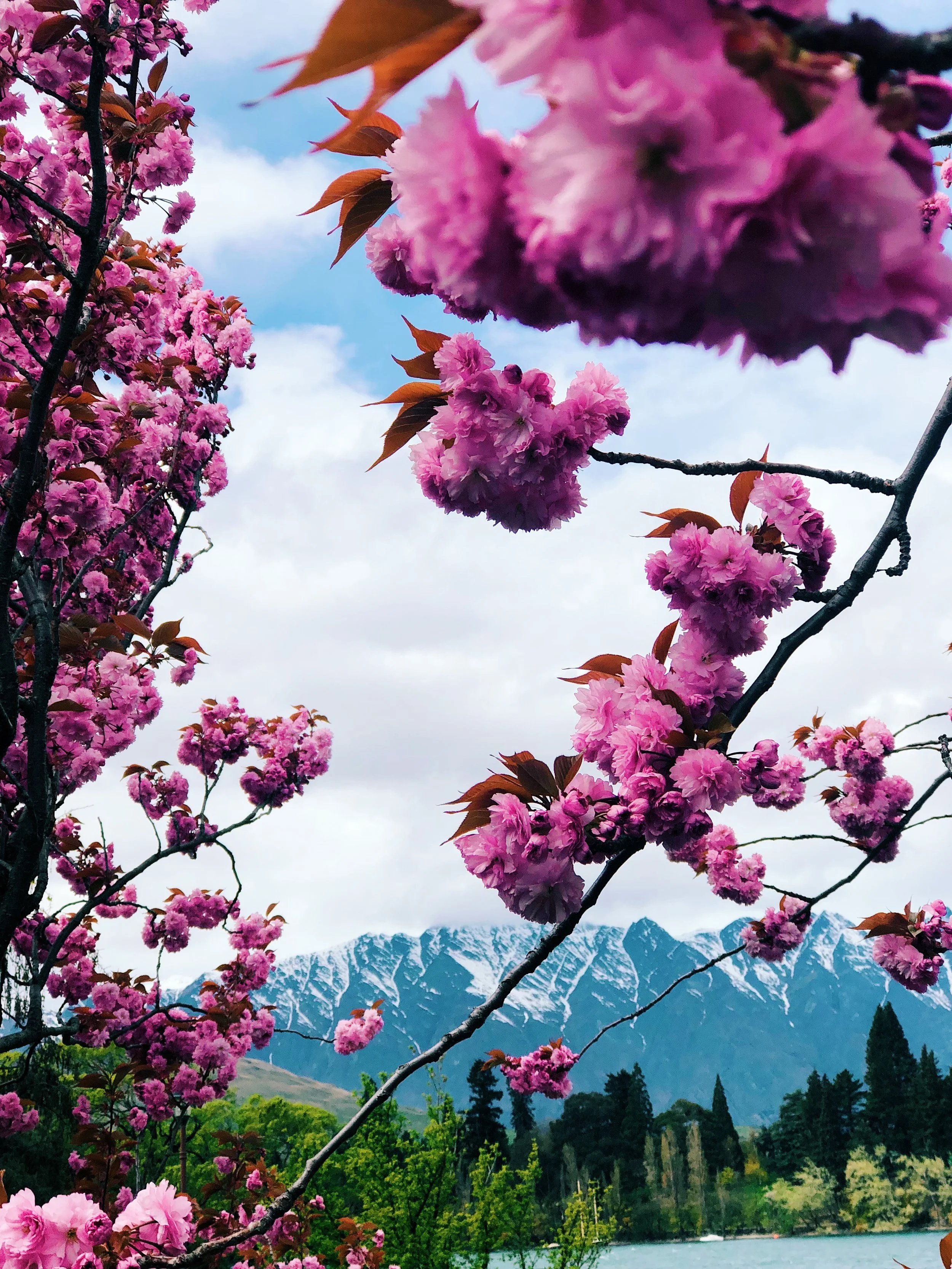 Passion Passport | Explore New Zealand’s Majestic Landscape Through an iPhone 8