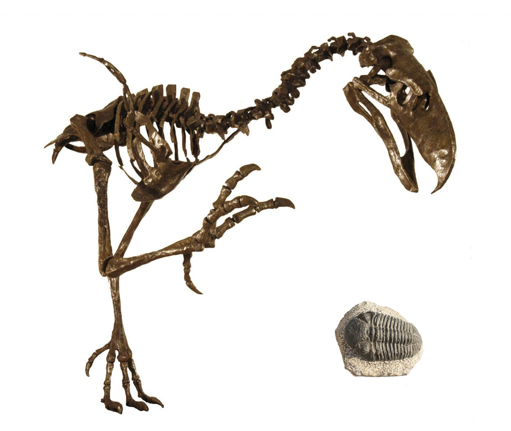 Trilobite and Terror Bird.png