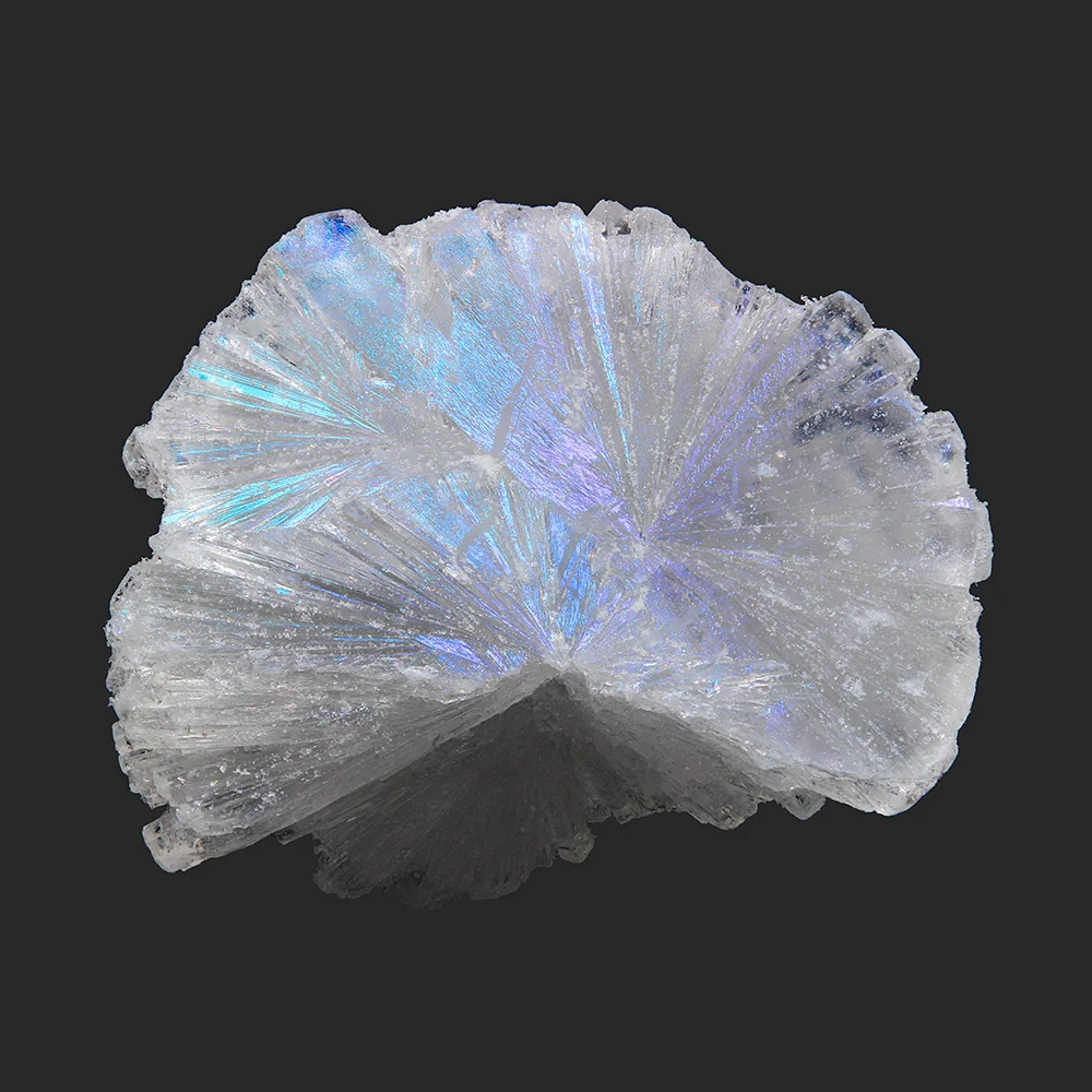 a05.2_1000x1000px.jpg