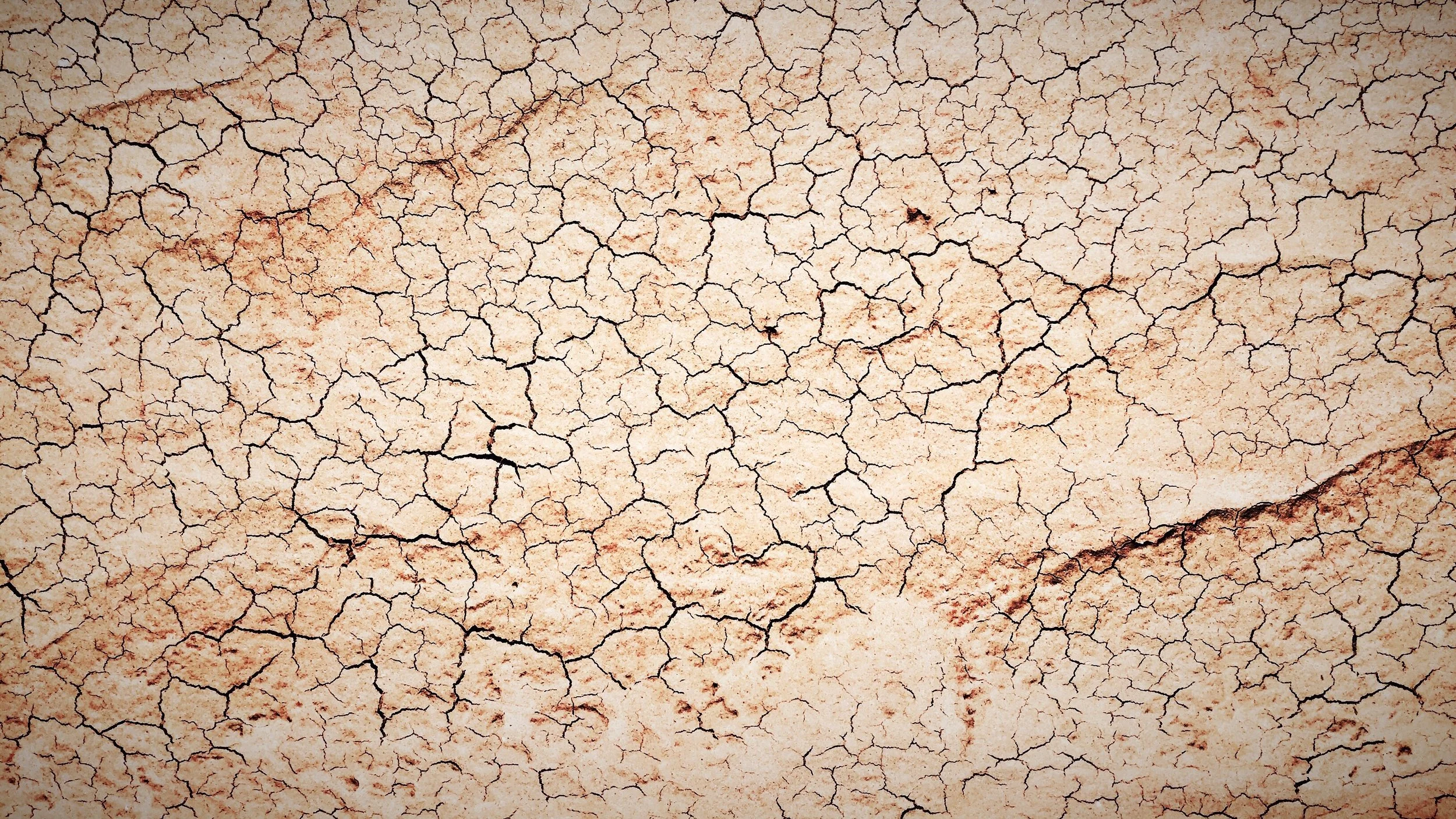 2017-01-11 12.59.18.jpeg