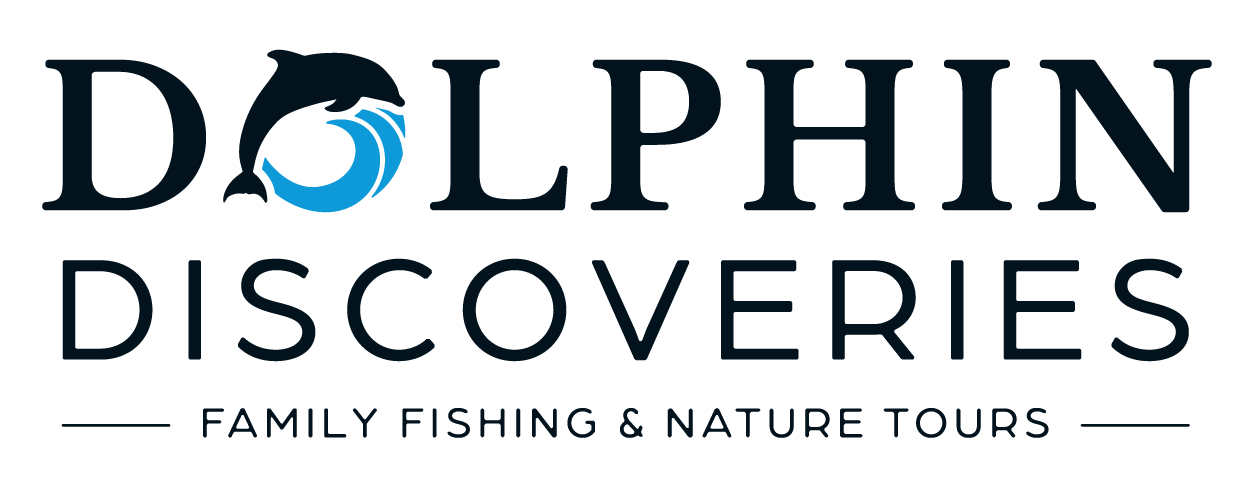 Dolphin Discoveries Logo - LG - Navy + Light Blue.png