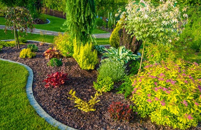 TWIG_designs_landscapes.jpg