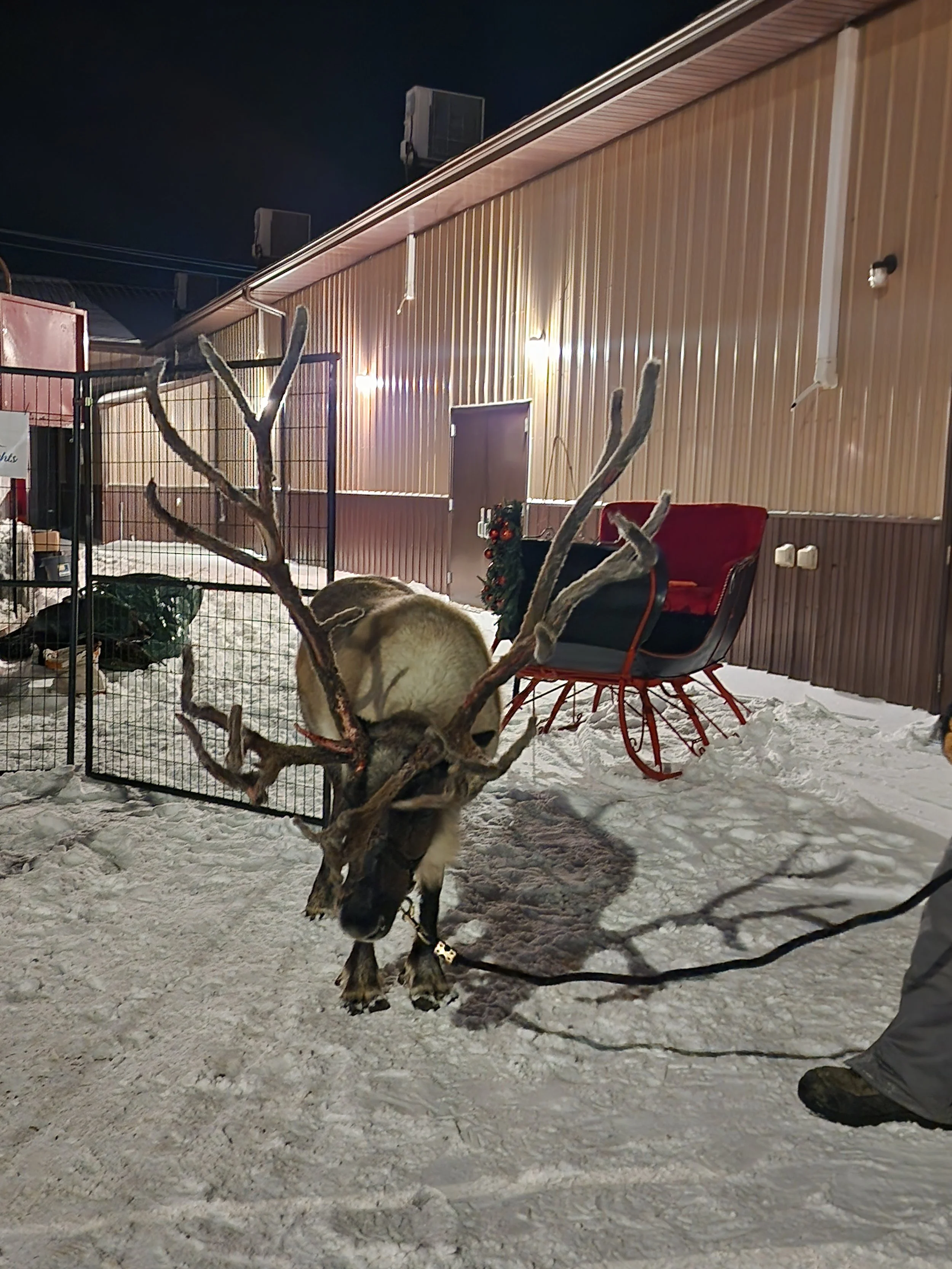 2025-11-29 18.22.53.jpg