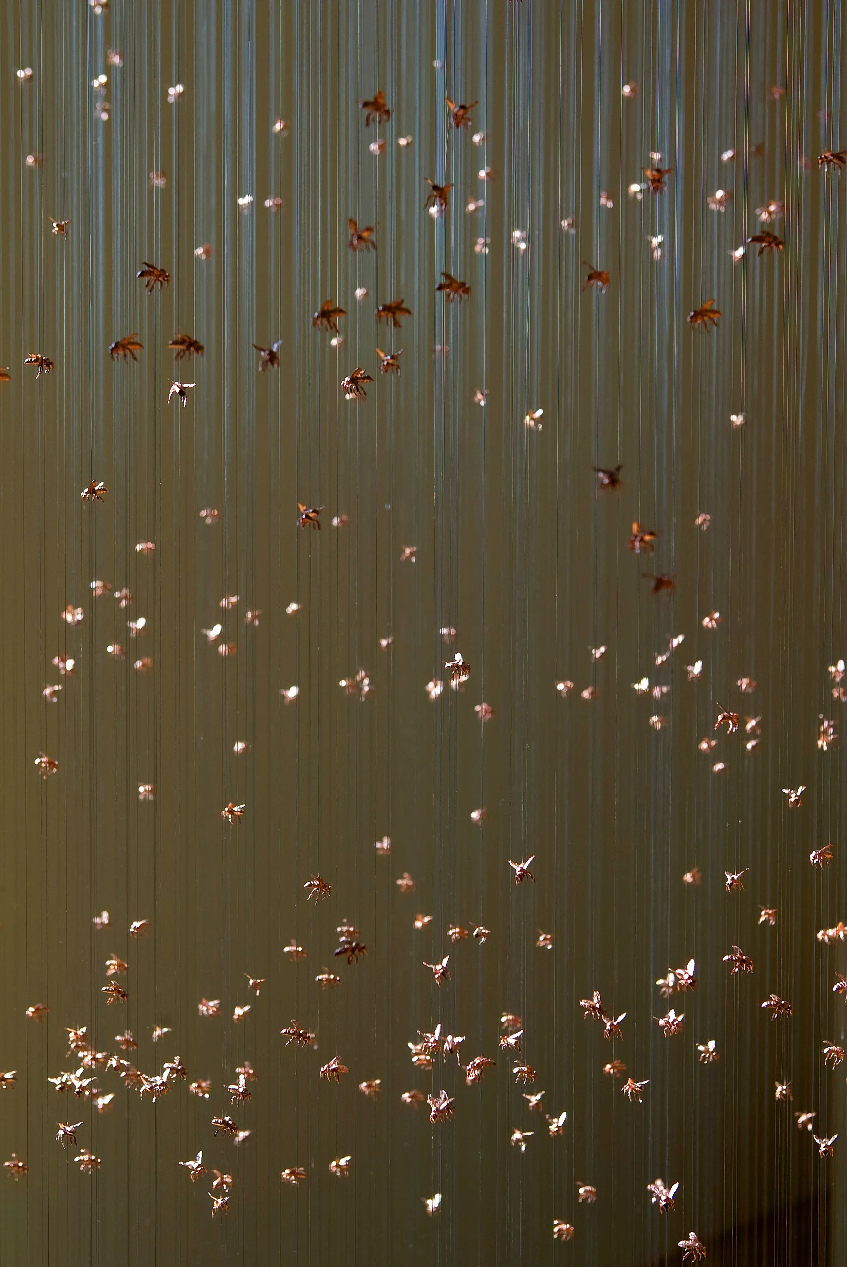 Satellite (Detail)