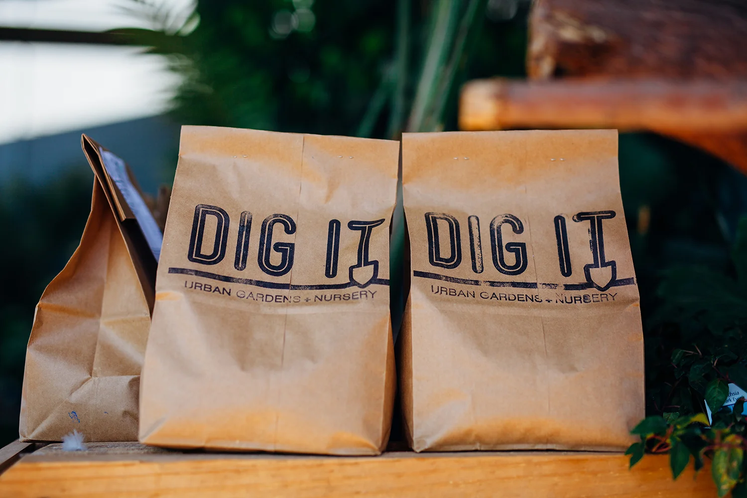 DigIt-95 copy.jpg