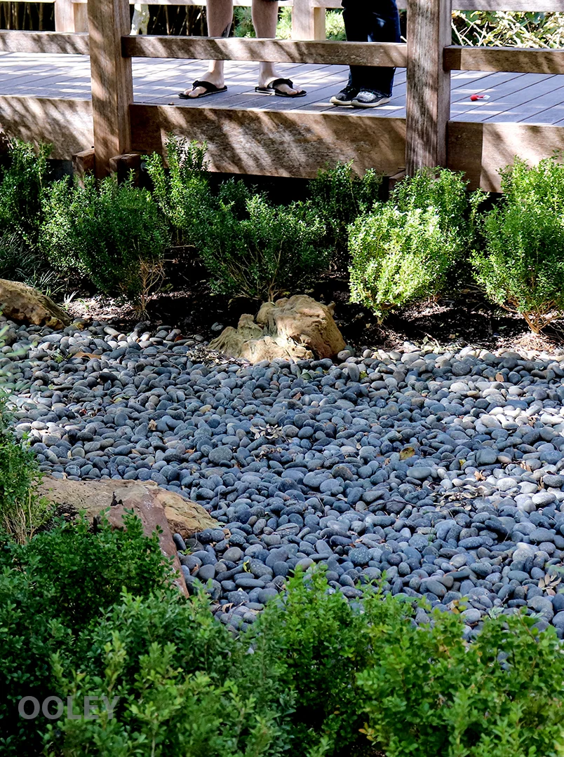 RiverrockSandalsWeb.jpg