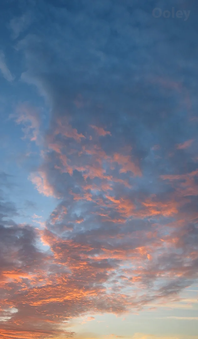 PinkSunsetVertWeb.jpg