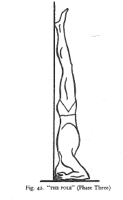 Image of "The Pole" from Yoga in Ten Lessons by Déchanet.