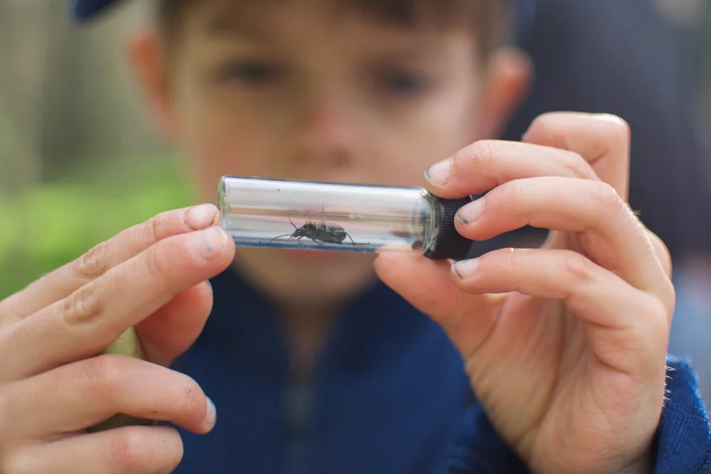 Promo-Video: Ashland Trail Trekkers