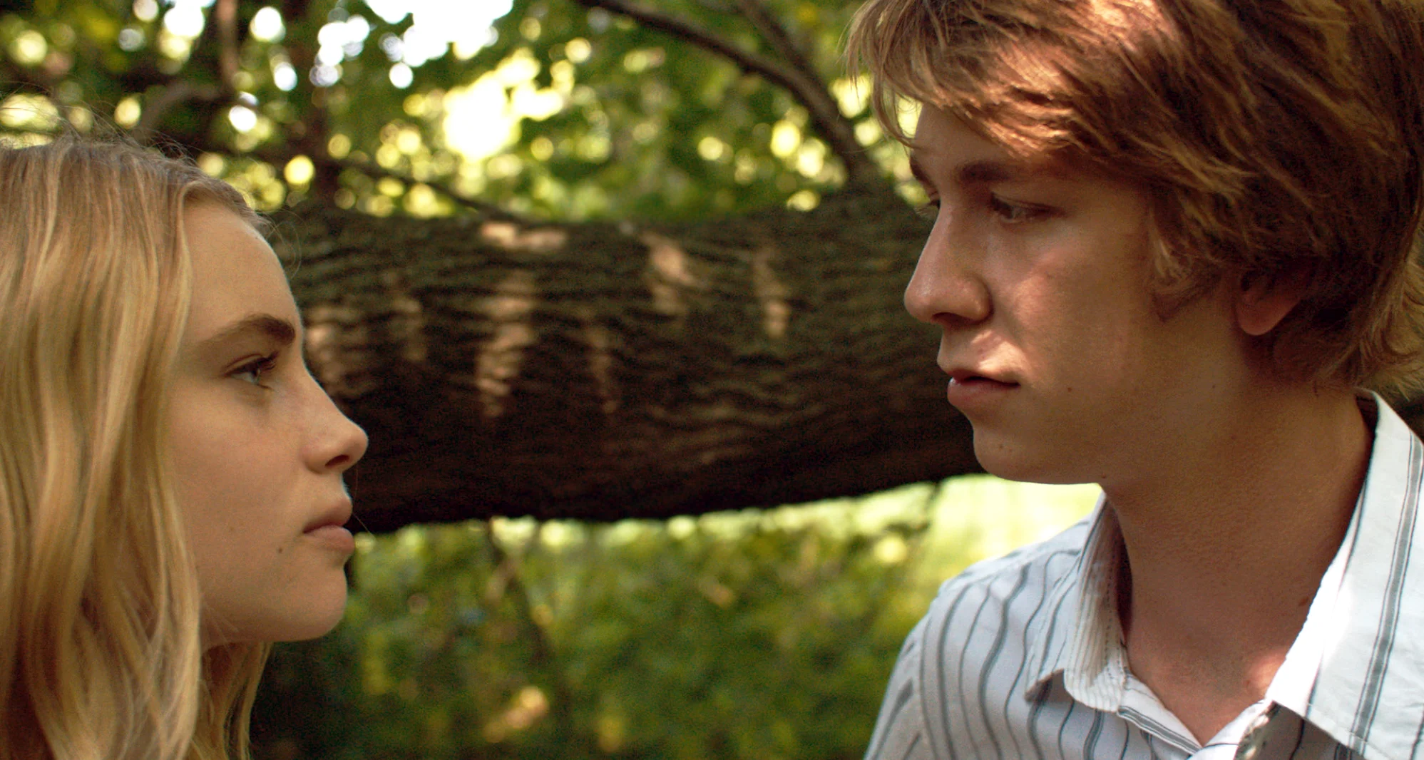 Наш дом 2018. Студенты со связями 2015. Студент со связями фильм 2015. Студенты со связями 2015. Выпускной фильм 2016.