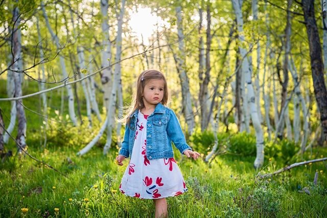 2/3: Wildflowers are growing, aspens are green, and the sun is shining! It&rsquo;s that time of year to book your family portraits! Whether it&rsquo;s just your little family unit or you&rsquo;re extended family, we are excited to capture your most p