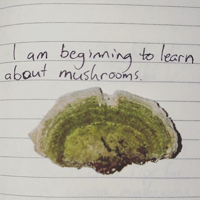 #thingsiamlearning