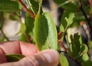 Tidal Channels - Todd Erickson