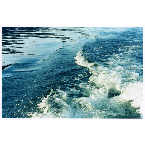 The Muse - Amy Williams