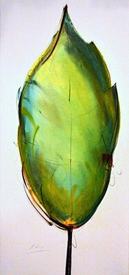Acey-400hi.jpg