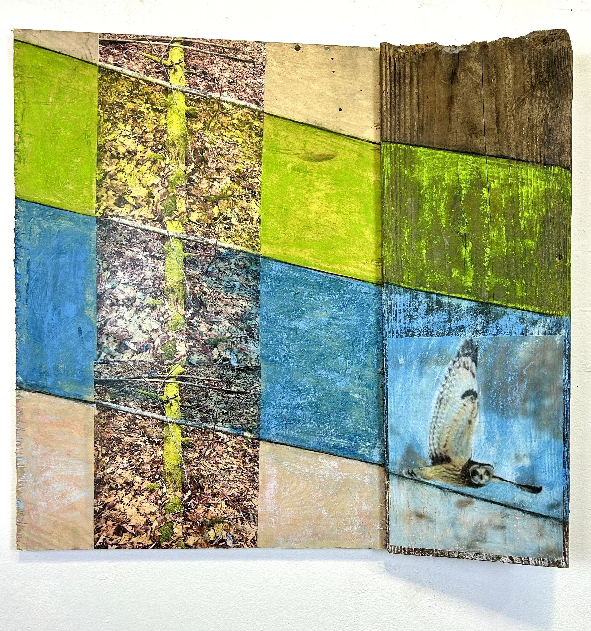 Artist Talk: Gibbons, Blanchard, Brown, Bunge, and Martin