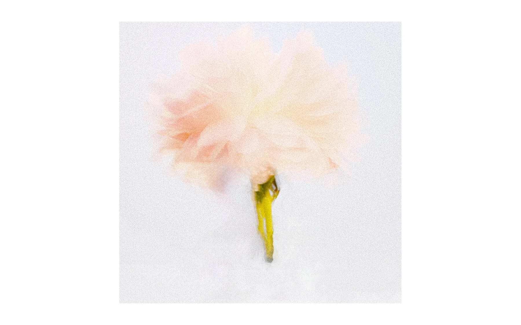Flower-Human-Artsi-edit.jpg