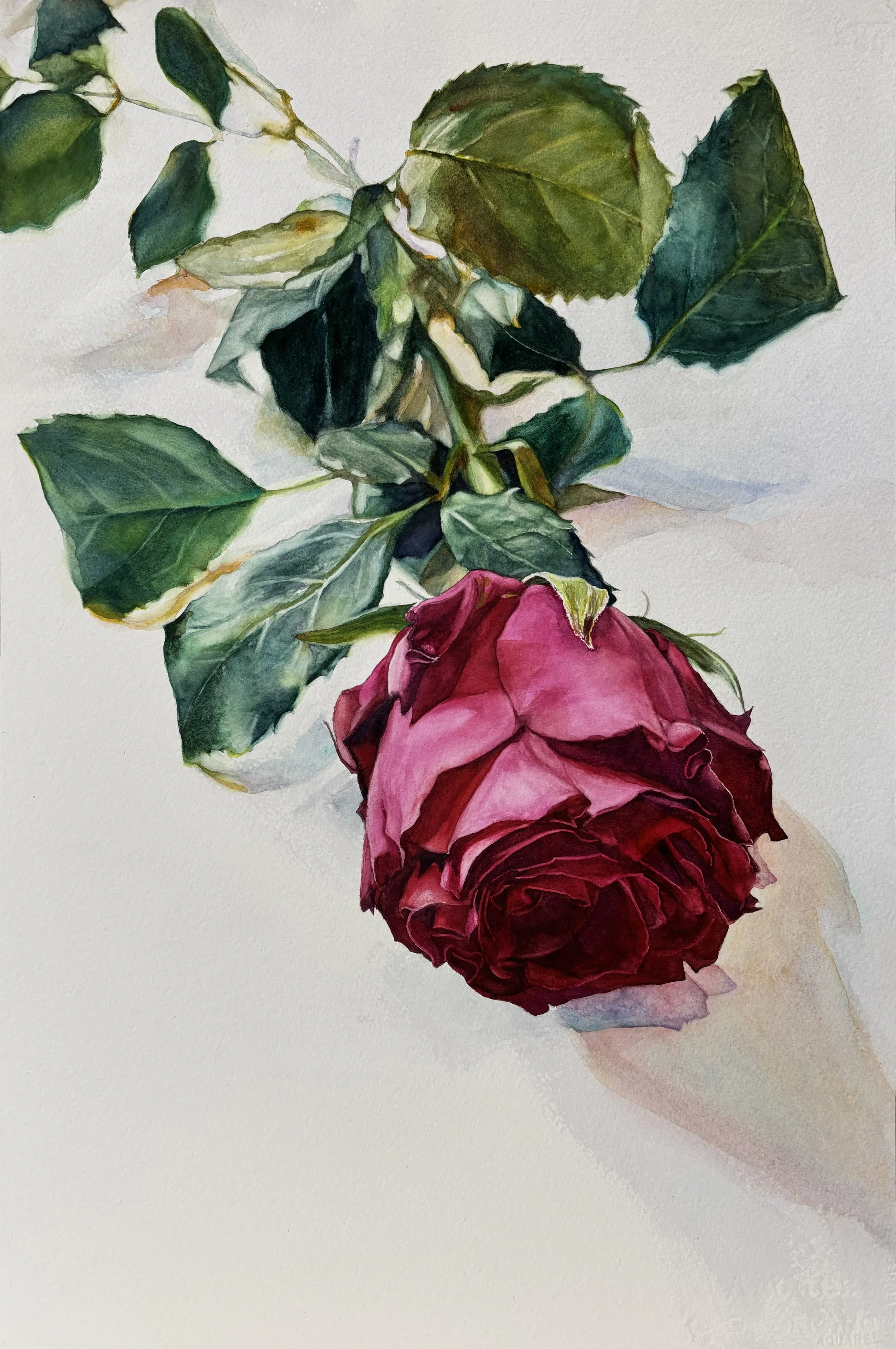Joy Makon's Artist Talk
