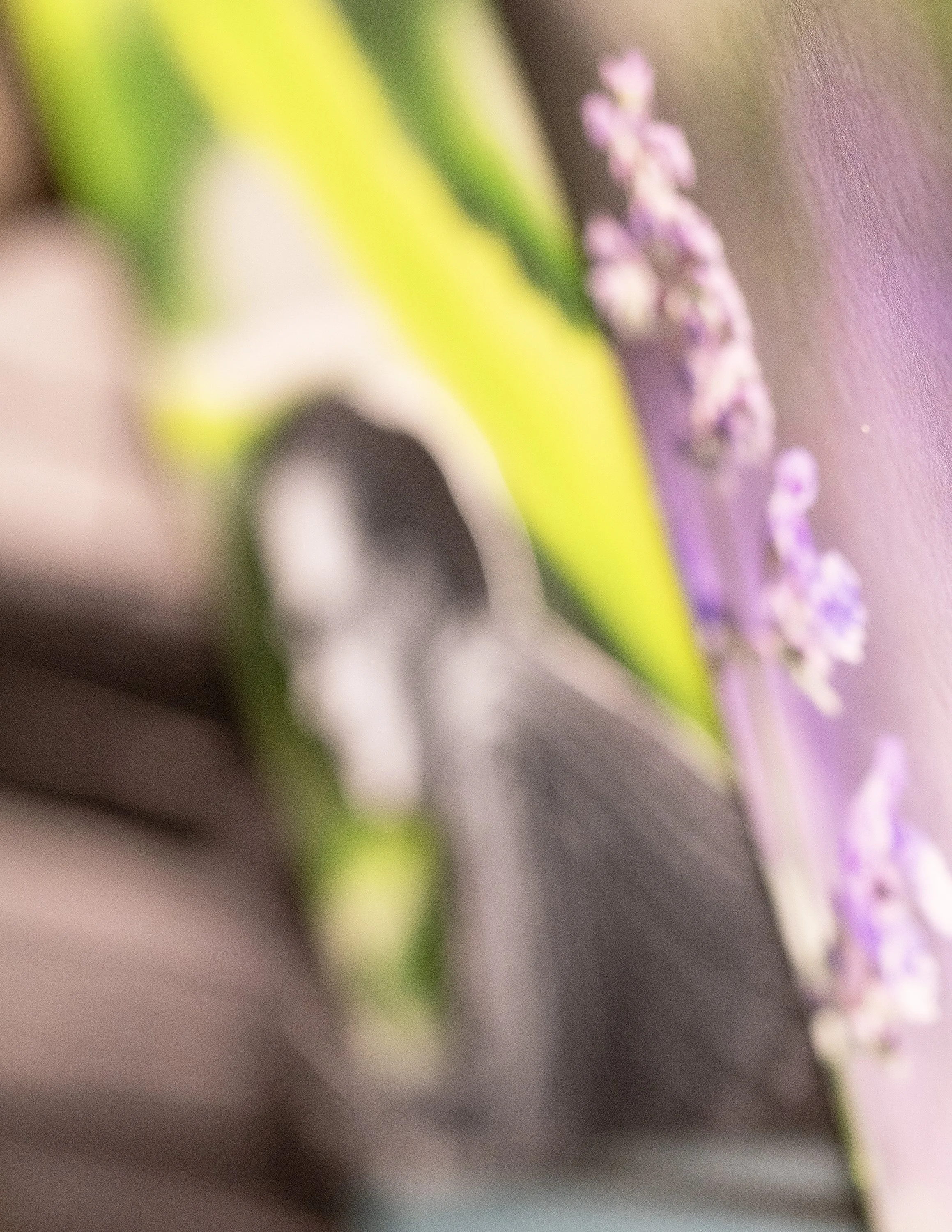 Stepping Out For Air, 2025_high res.jpg