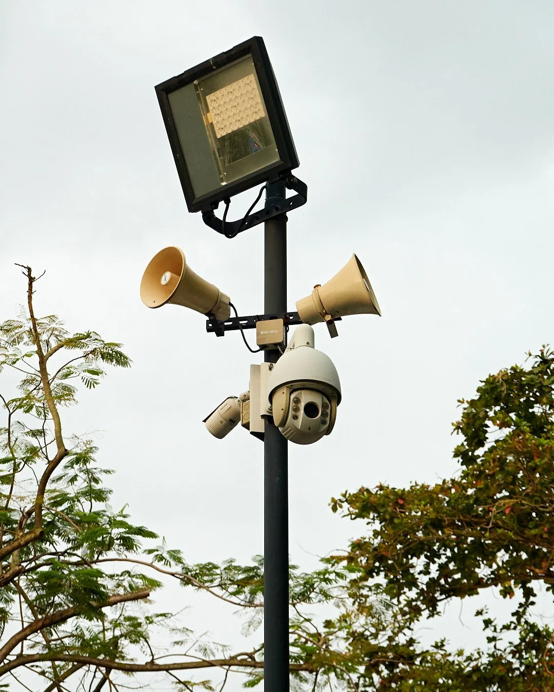 24.8_Singapore_00154.jpg