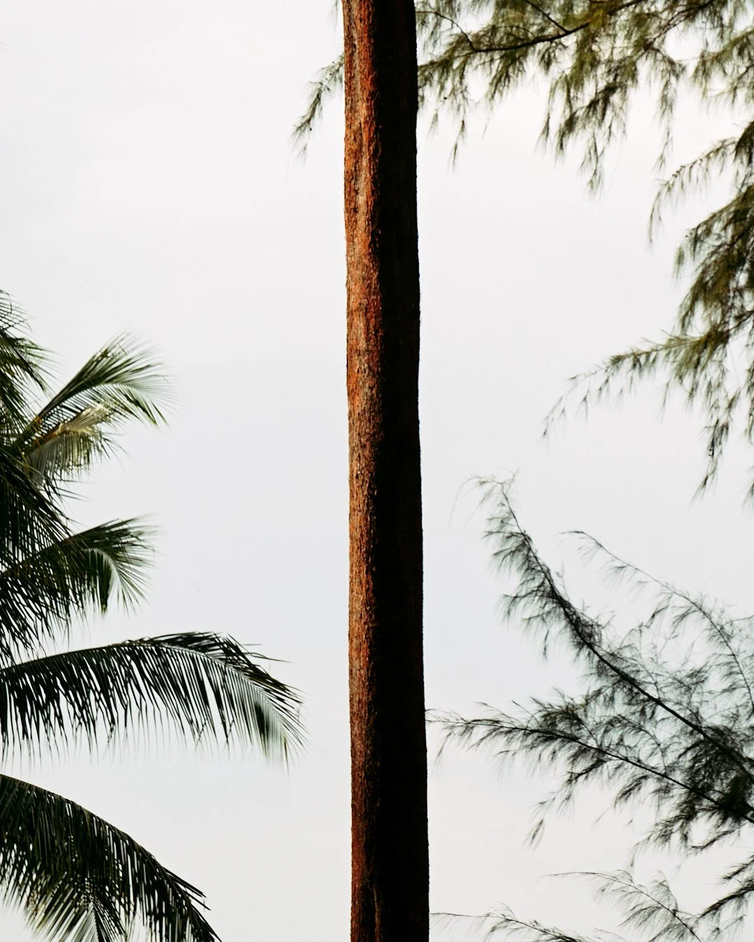 24.8_Singapore_00019.jpg