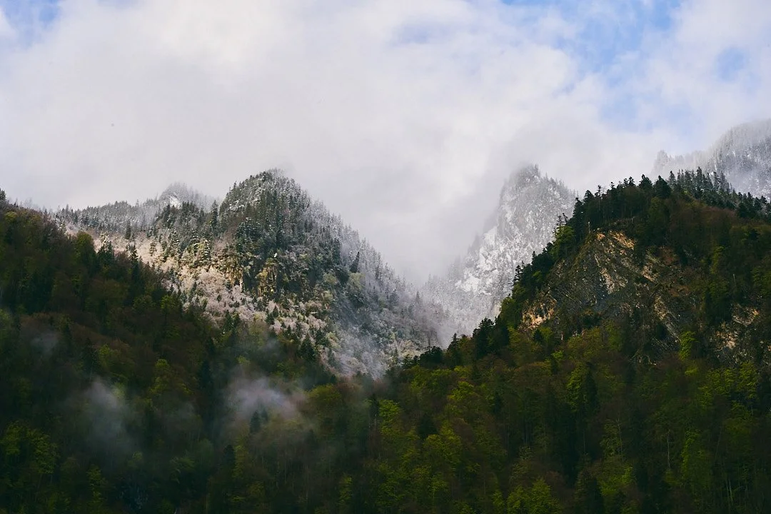 24.4.18_Switzerland1043 1.jpg