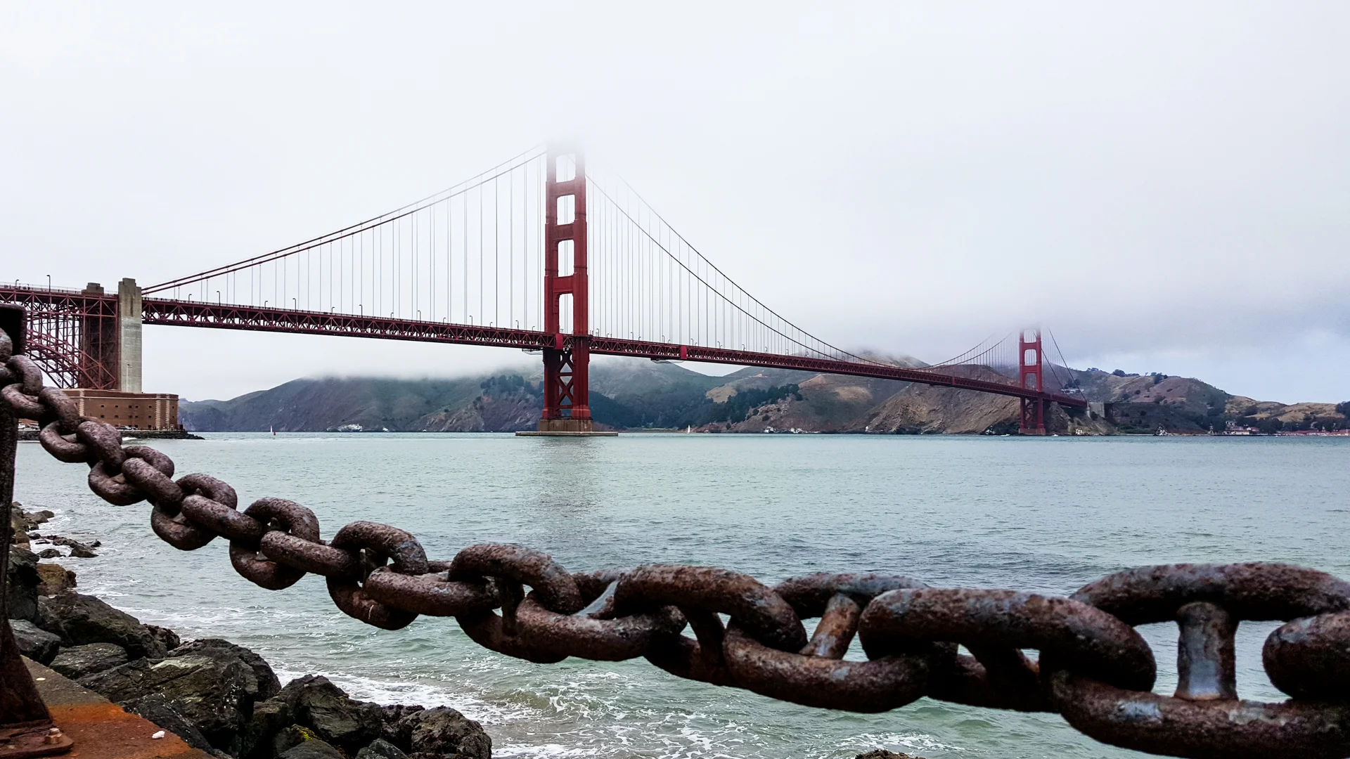 Bring Back the Ocean