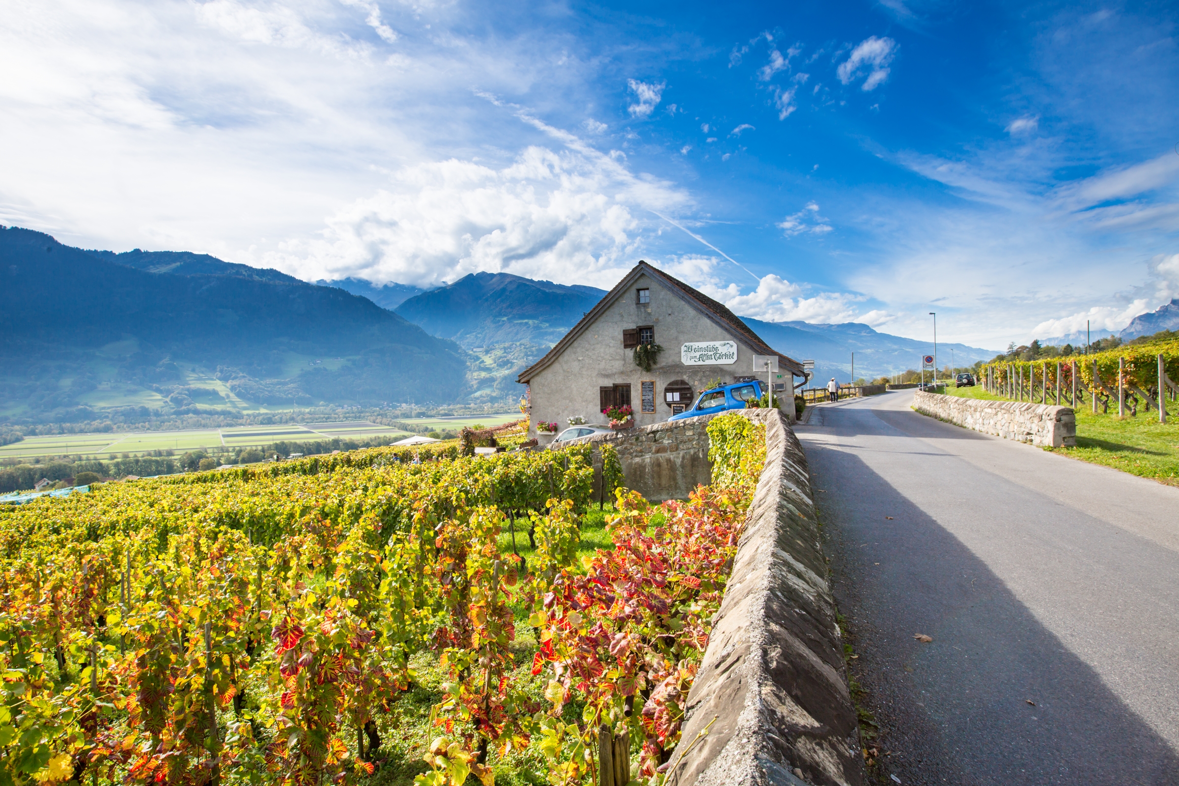 Landschaft Bündner Herrschaft.jpg