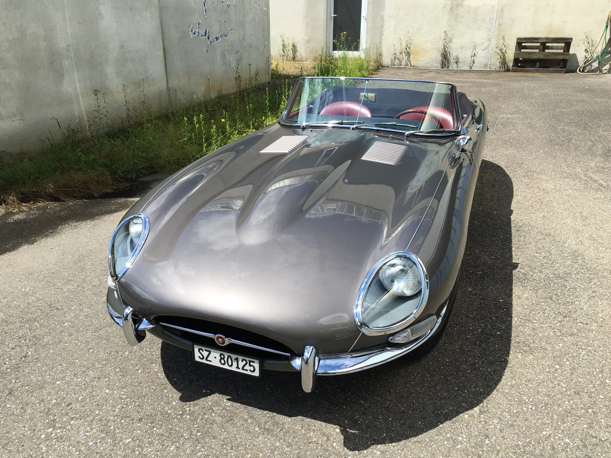Jaguar