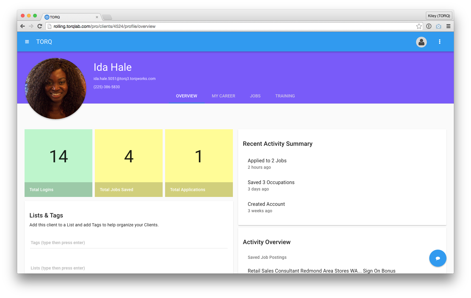 The Overview tab which is only accessible to staff and not to job seekers (click to enlarge image).