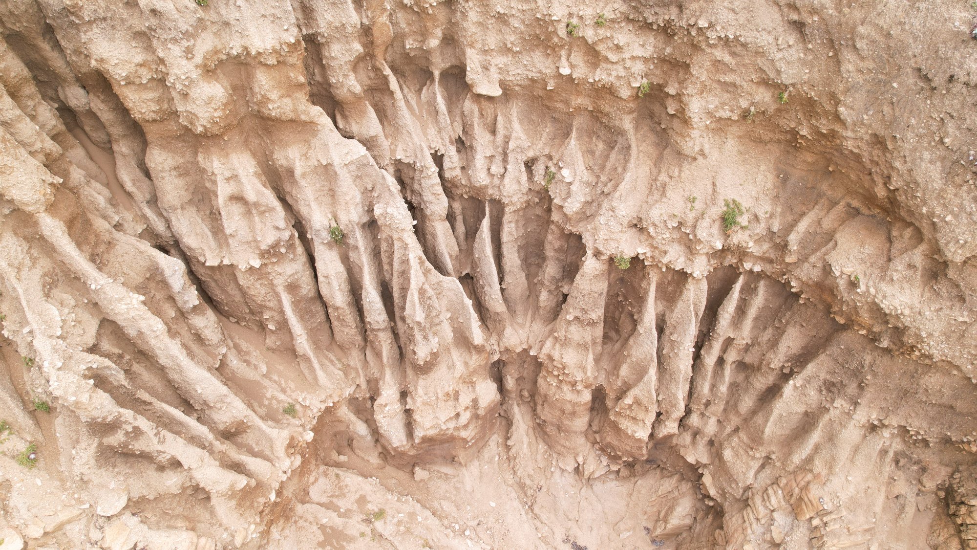 Garrapata State Park, California, 'Sandstone'