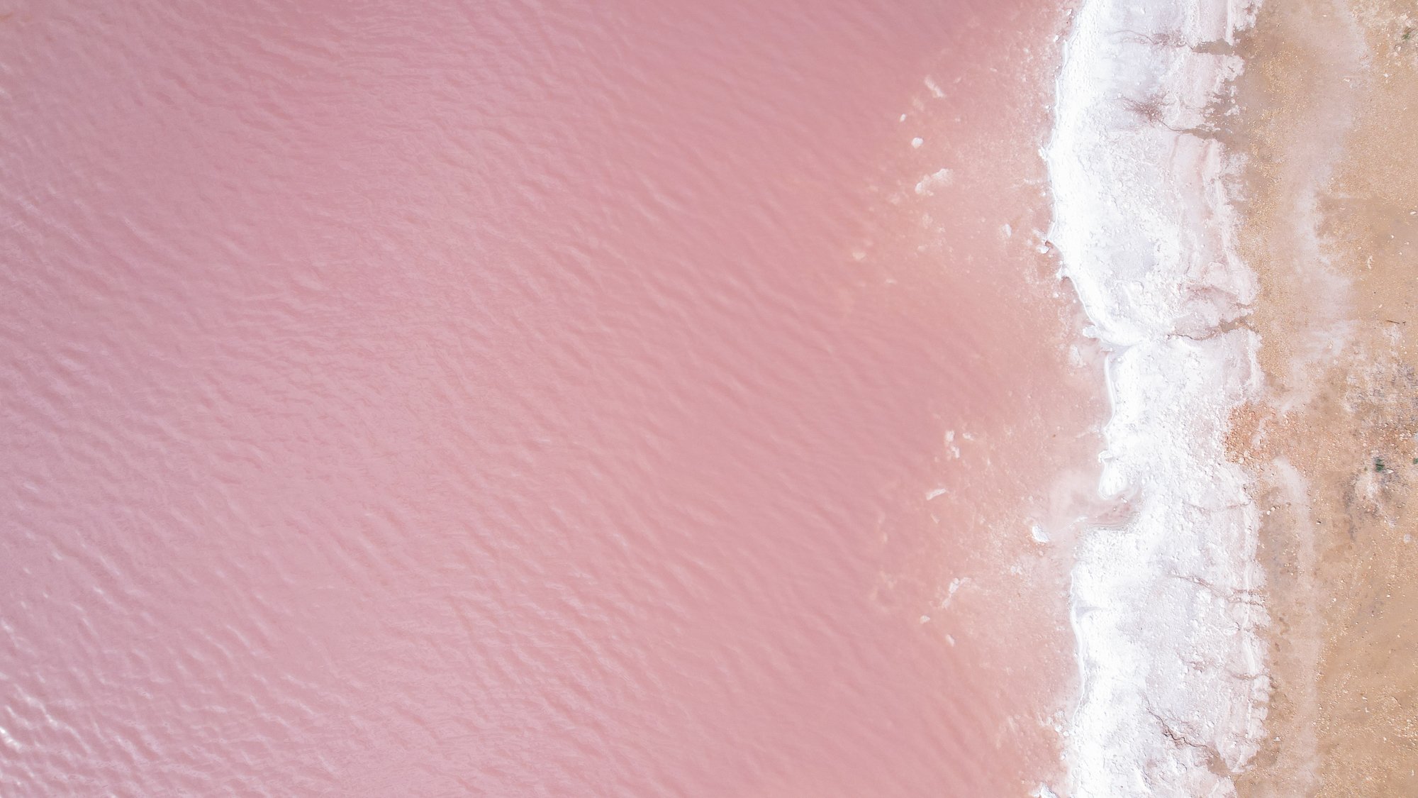 Torrevieja, Spain, 'The Pink Lake'