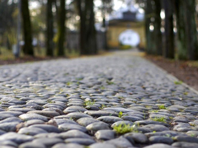 STONE PATH.jpg