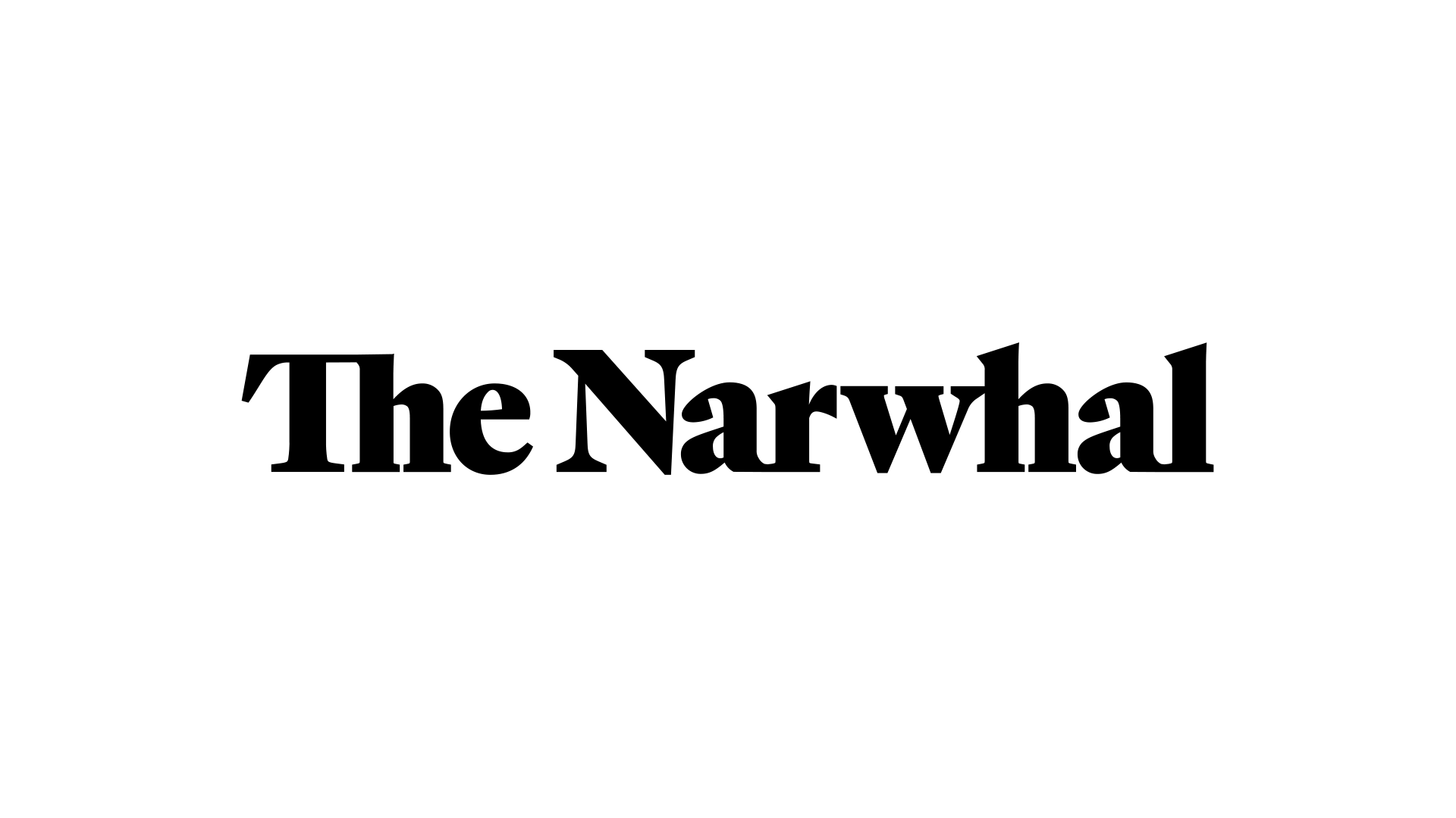 The Narwhal