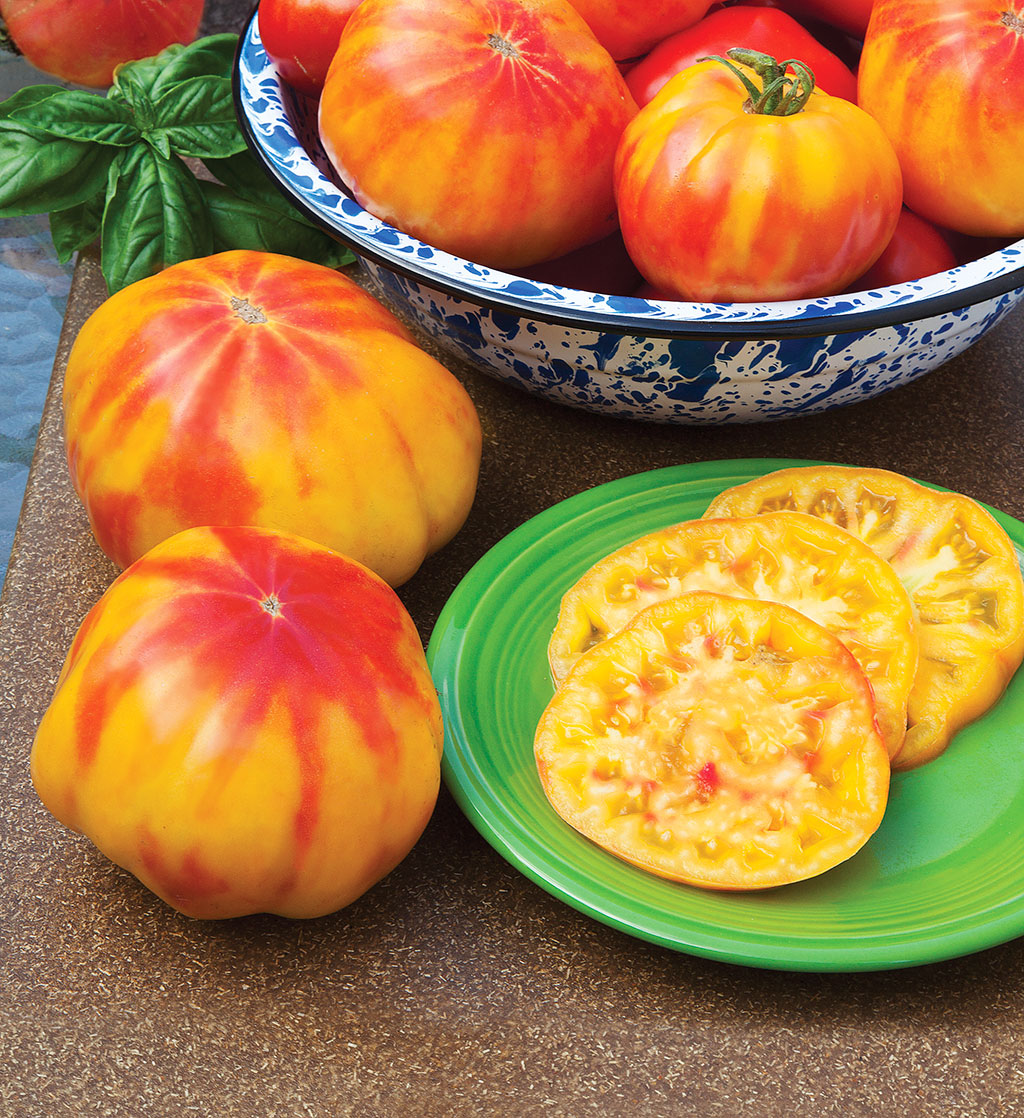 mr-stripey-heirloom-tomato.jpg