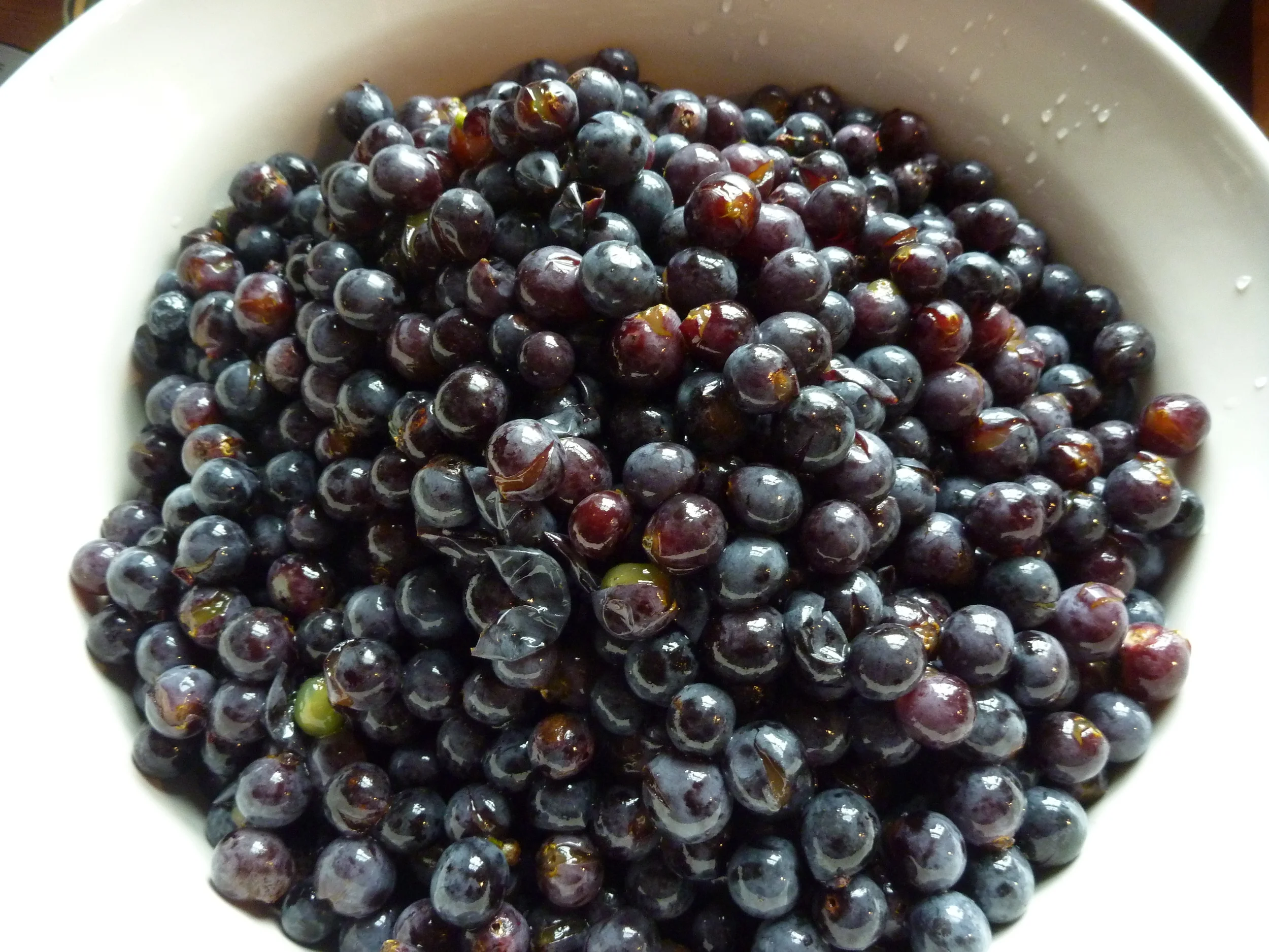 Create a Backyard Vineyard