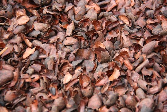 Discover Cocoa Shells Mulch