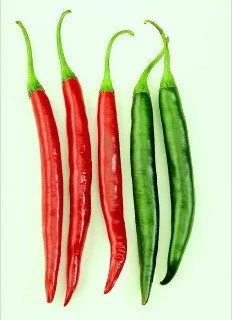 Thai Chili