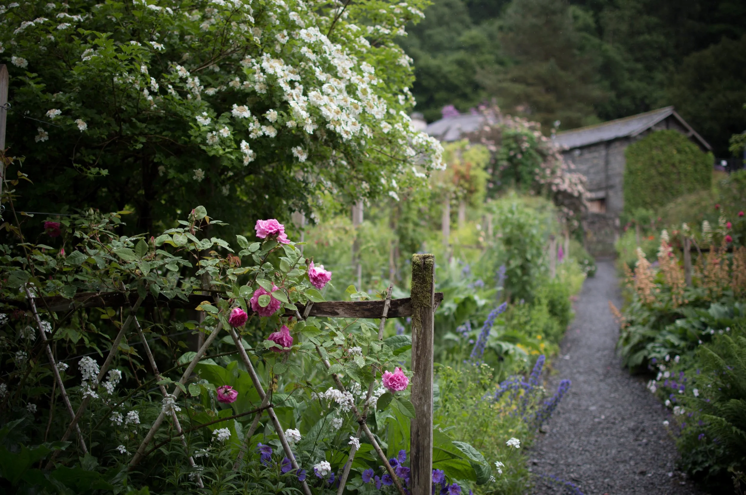 cottagegarden.jpg