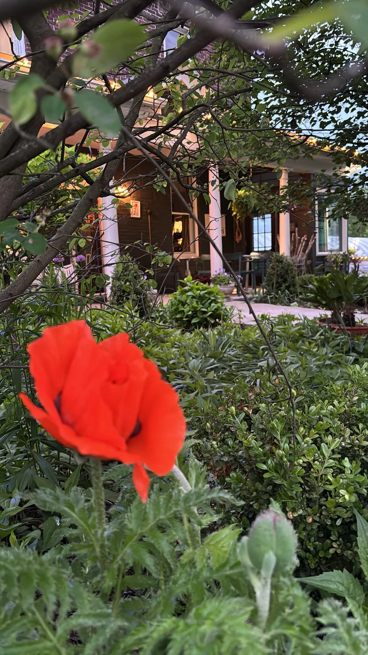 Cozy Dinner | May Edition