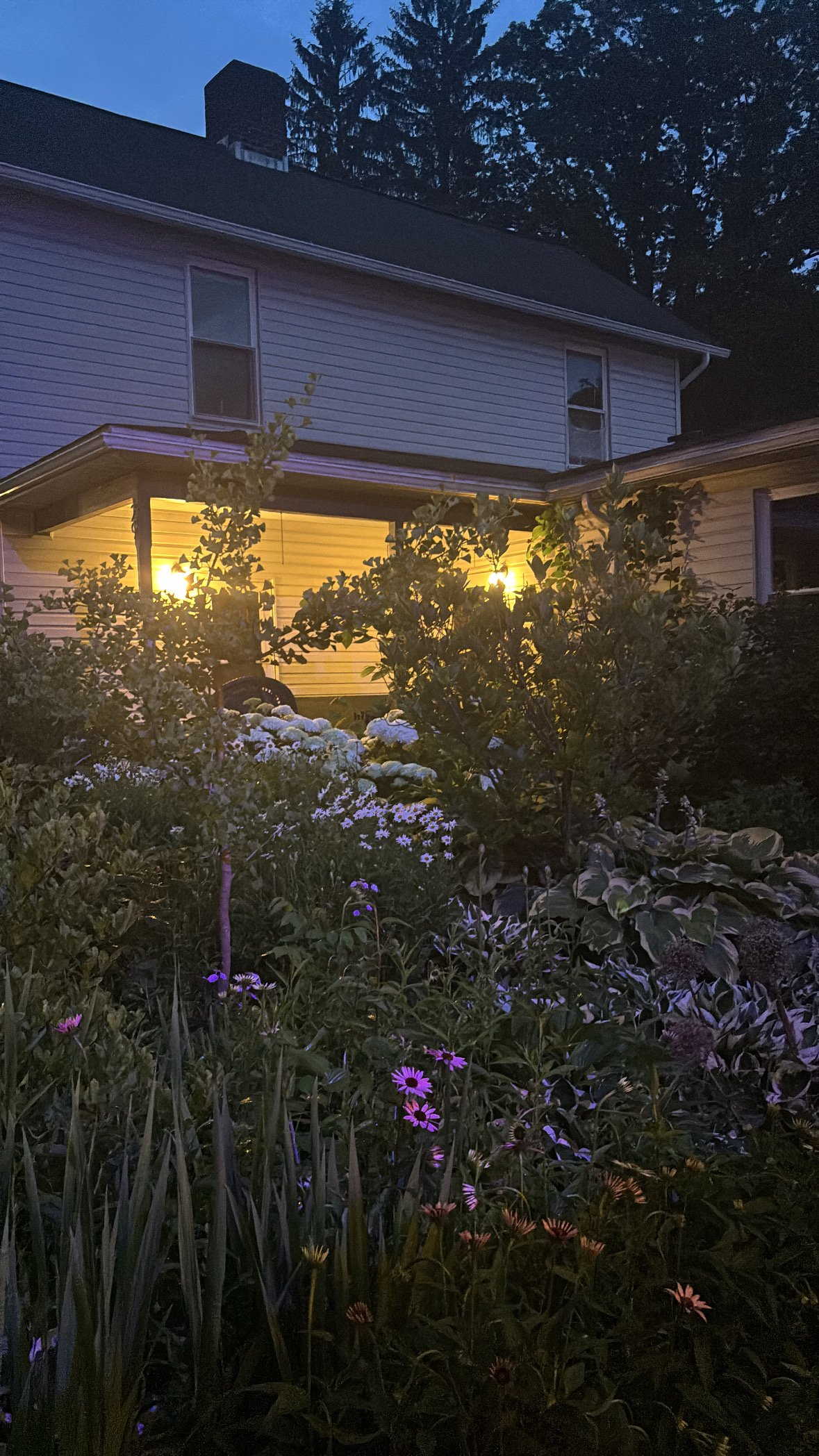 Cozy Dinner: Summer