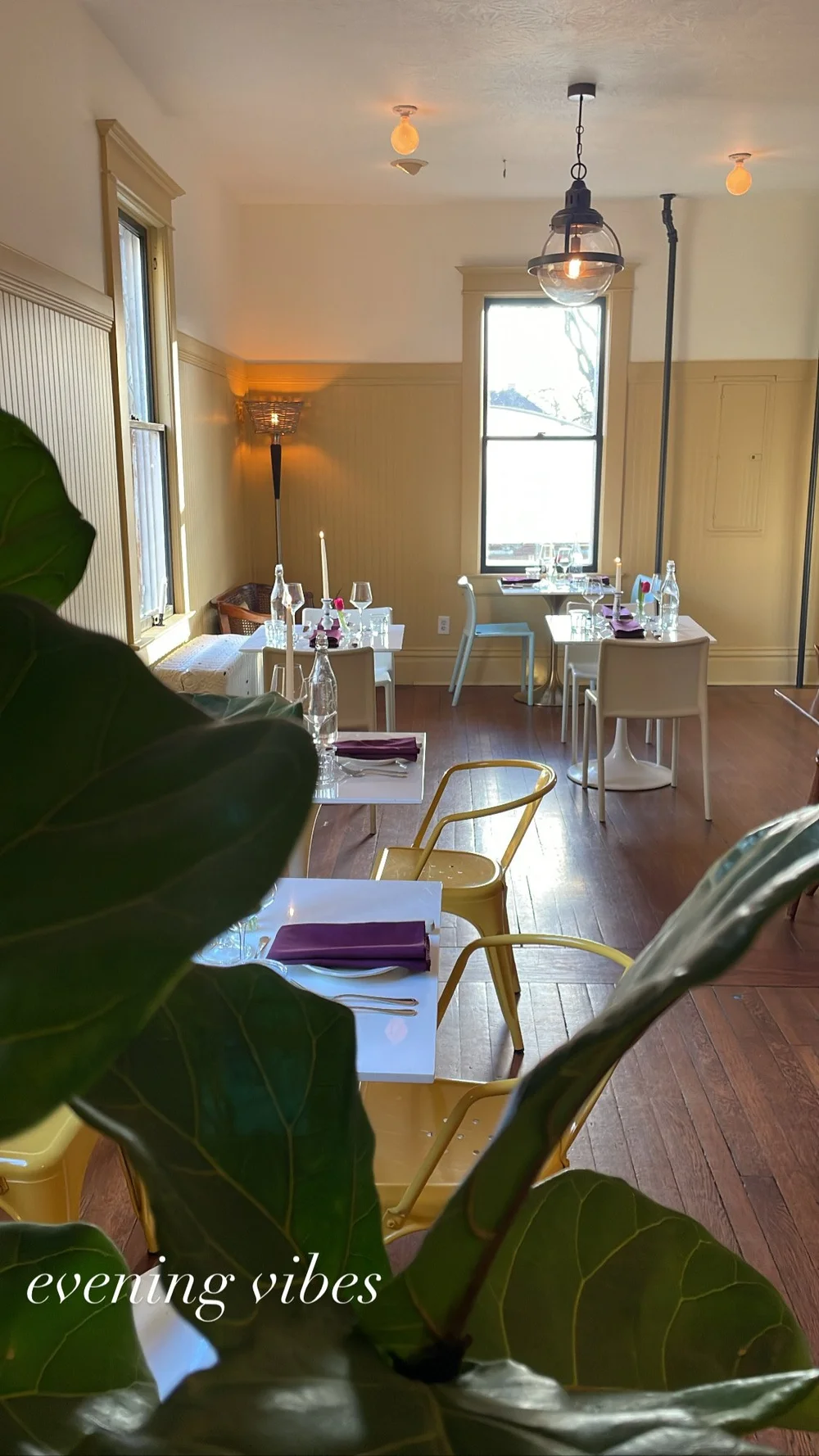 Cozy Dinners — Modern Homestead