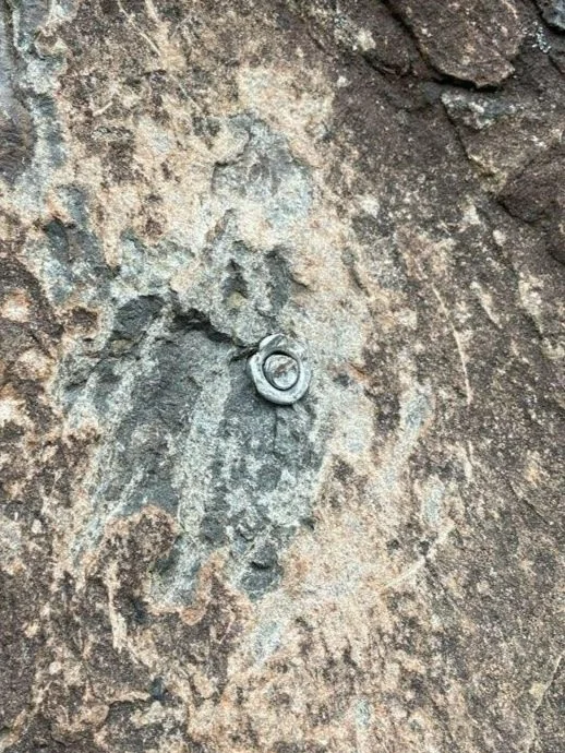 Open Letter To Our Community