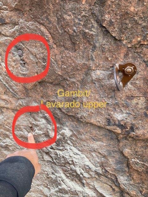 The Bolts Are Back In Town