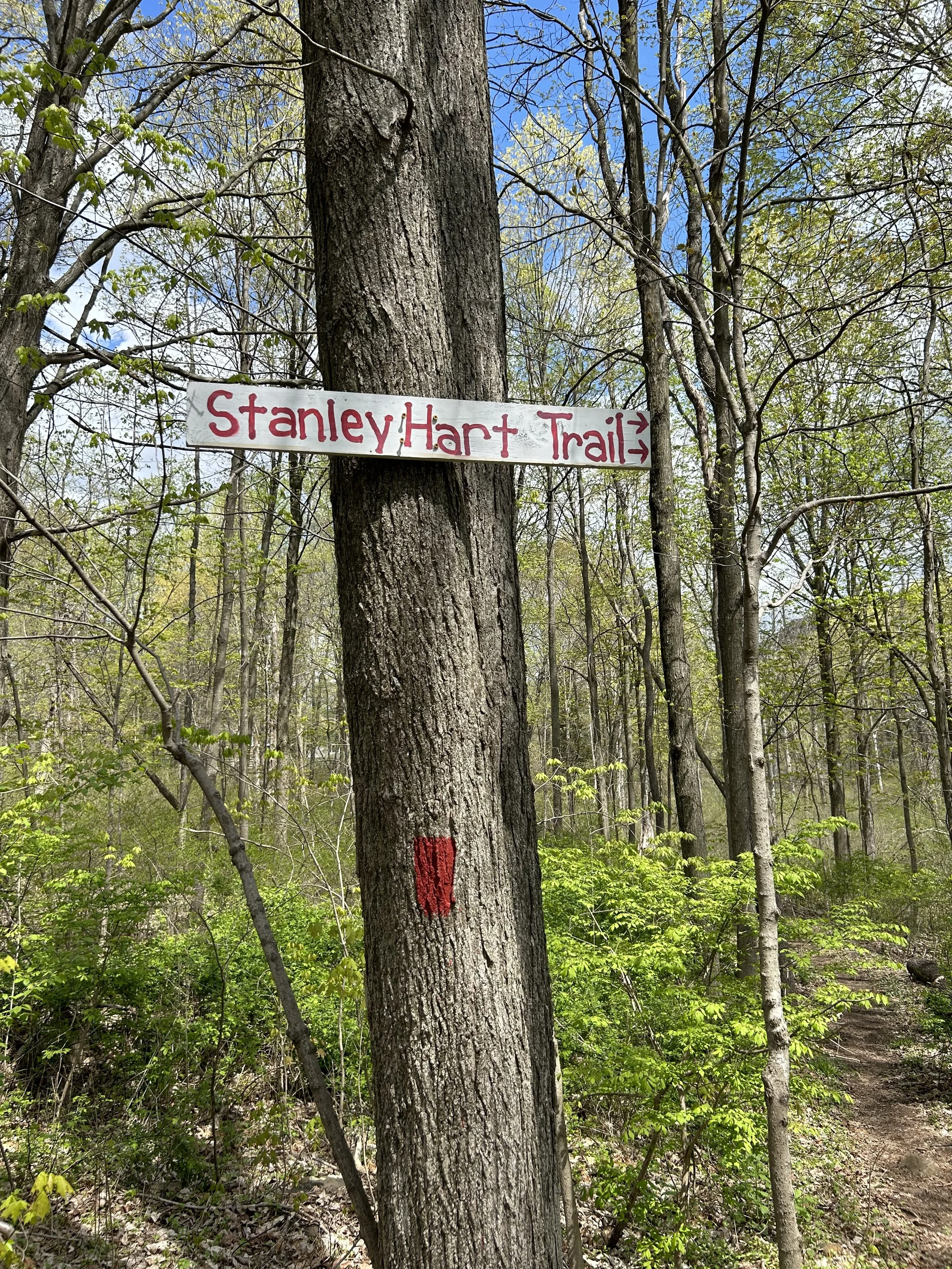Trail Signs at Ragged Mountain, Southington, CT