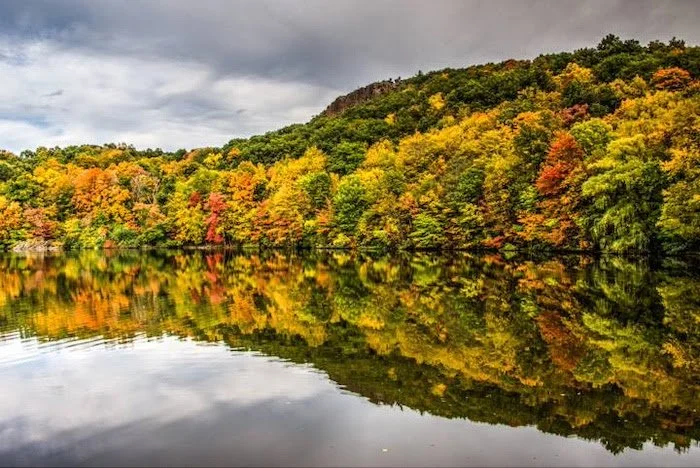 A Letter from the President