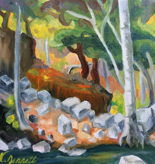 Rocks