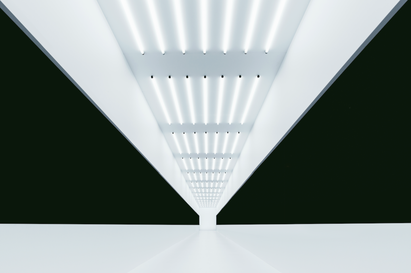 Screenshot 2026-03-23 at 12.37.09.png