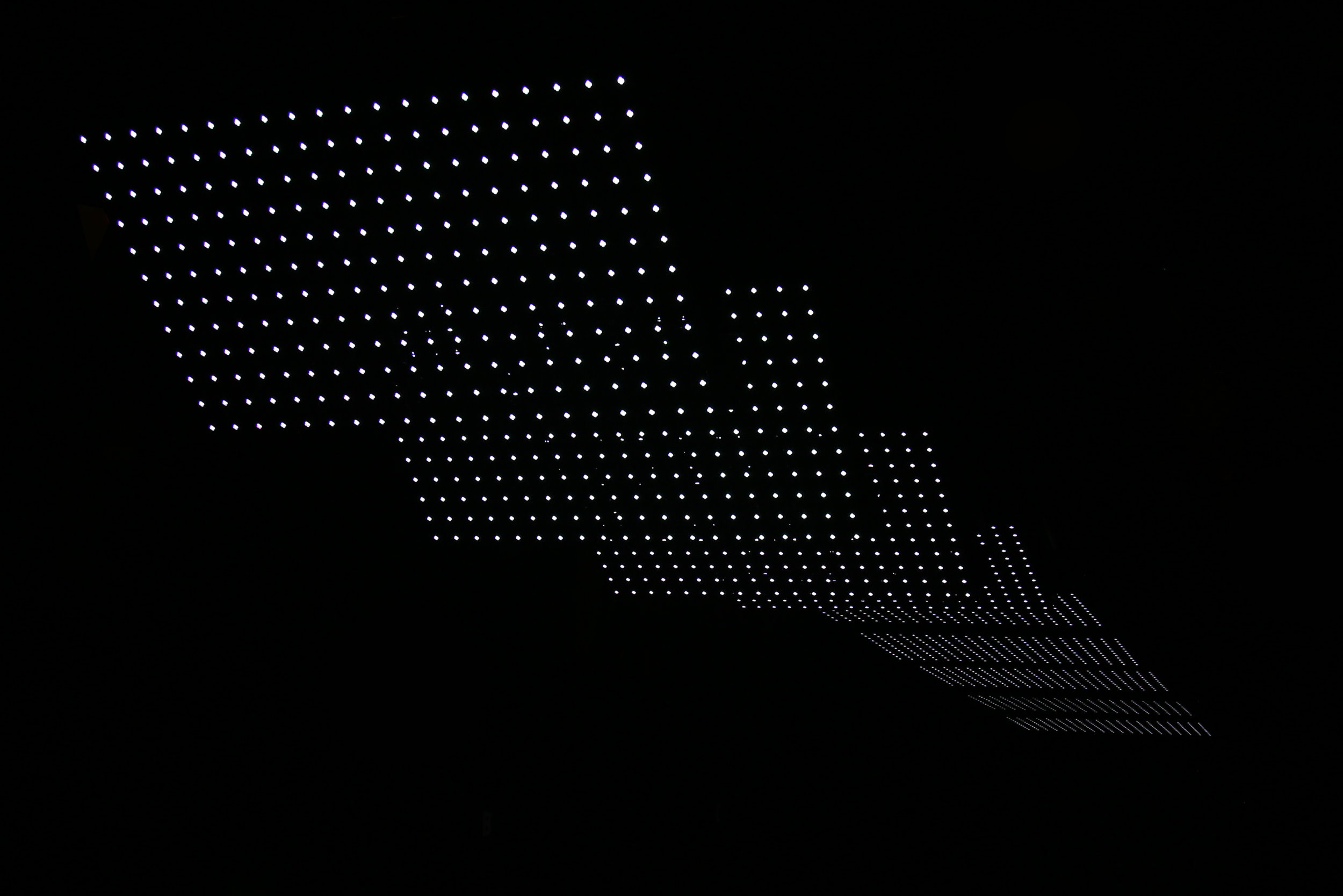 5M5A5917.jpg