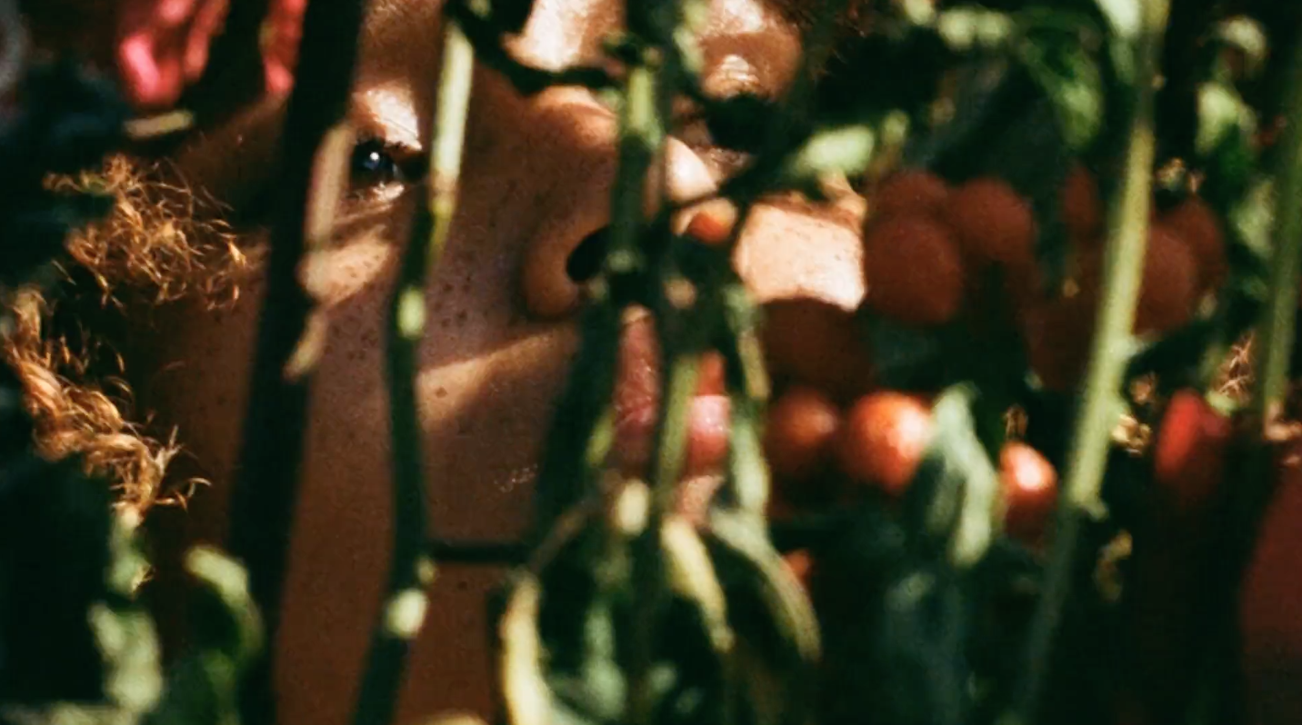 Screen Shot 2019-03-01 at 17.30.16.png